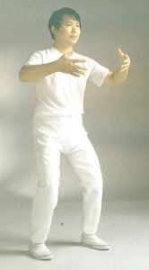 posture-de-l-arbre-ou-tenir-le-ballon-zhan-zhuang